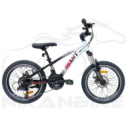 دوچرخه کوهستان جیانت سایز 20 مدل G34 دیسکی (21 دنده)