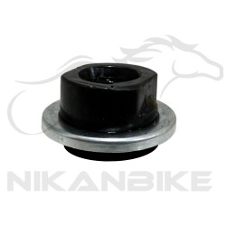 گیو جلو دوچرخه