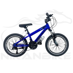 دوچرخه کوهستان راکی سایز 20 مدل آهنی R2008 ویبریک (21 دنده)