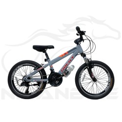 دوچرخه کوهستان راکی سایز 20 مدل آهنی R2008 ویبریک (21 دنده)
