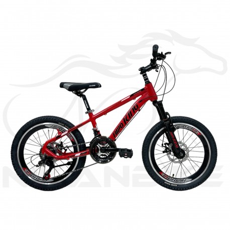 دوچرخه کوهستان کینگ سایز 20 مدل PRO-A120 دیسکی (24 دنده)
