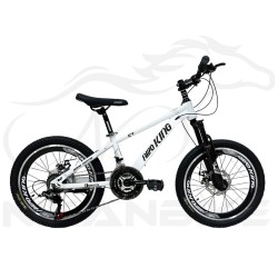 دوچرخه کوهستان کینگ سایز 20 مدل آهنی A120 دیسکی (24 دنده)