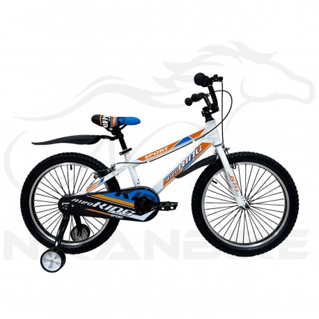 دوچرخه بچگانه کینگ سایز 20 مدل آلومینیومی A-120
