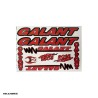 استیکر دوچرخه مدل GALANT