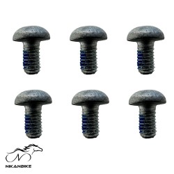 پیچ روتور دیسک دوچرخه - بسته 6 عددی