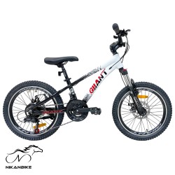 دوچرخه کوهستان جیانت سایز 20 مدل G34 دیسکی (21 دنده)