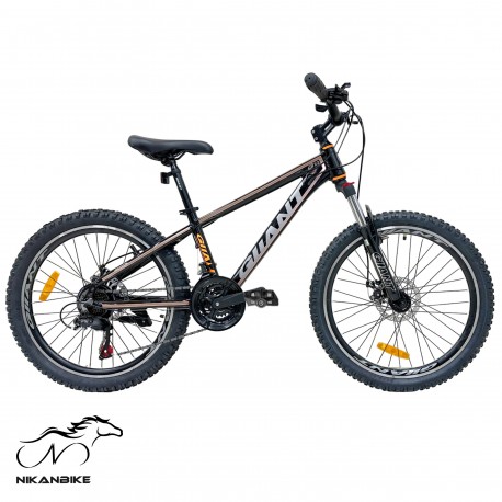 دوچرخه کوهستان جیانت سایز 24 مدل G22 دیسکی (21 دنده)