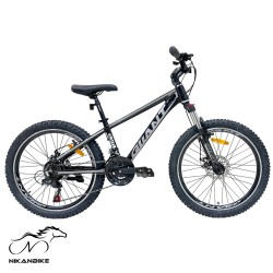 دوچرخه کوهستان جیانت سایز 24 مدل G22 دیسکی (21 دنده)