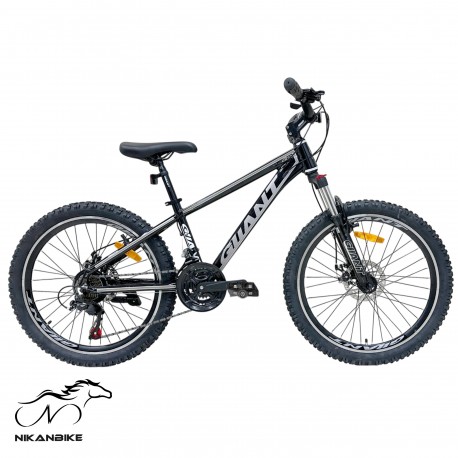 دوچرخه کوهستان جیانت سایز 24 مدل G22 دیسکی (21 دنده)