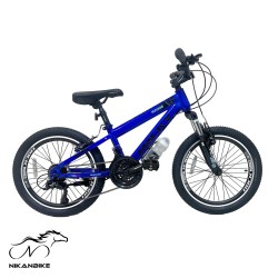 دوچرخه کوهستان راکی سایز 20 مدل آهنی R2008 ویبریک (21 دنده)