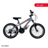 دوچرخه کوهستان راکی سایز 20 مدل آهنی R2008 ویبریک (21 دنده)