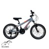 دوچرخه کوهستان راکی سایز 20 مدل آهنی R2008 ویبریک (21 دنده)