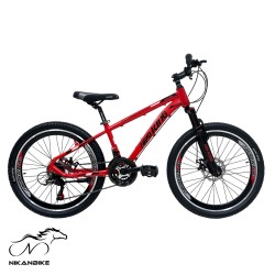 دوچرخه کوهستان کینگ سایز 24 مدل PRO-A120 دیسکی (24 دنده)