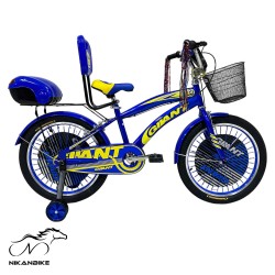 دوچرخه بچگانه جیانت سایز 20 مدل پسرانه