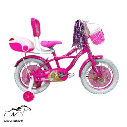 دوچرخه بچگانه راکی سایز 16 مدل آهنی 208 دخترانه