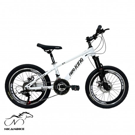 دوچرخه کوهستان کینگ سایز 20 مدل آهنی A120 دیسکی (24 دنده)