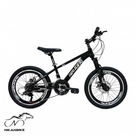 دوچرخه کوهستان کینگ سایز 20 مدل آهنی A120 دیسکی (24 دنده)