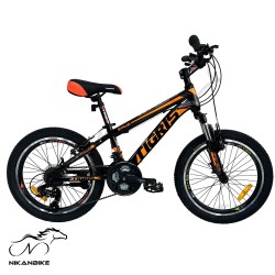 دوچرخه کوهستان تایگرز سایز 20 مدل Explor