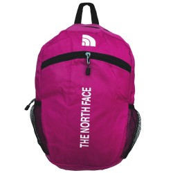 کوله پشتی ورزشی مدل The North Face