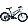 دوچرخه کوهستان آمانو سايز 20 مدل GT2008