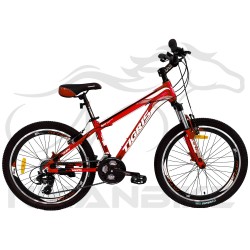 دوچرخه کوهستان تایگرز سایز 24 مدل Tigon