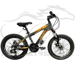 دوچرخه کوهستان راش سایز 20 مدل R400 دیسکی