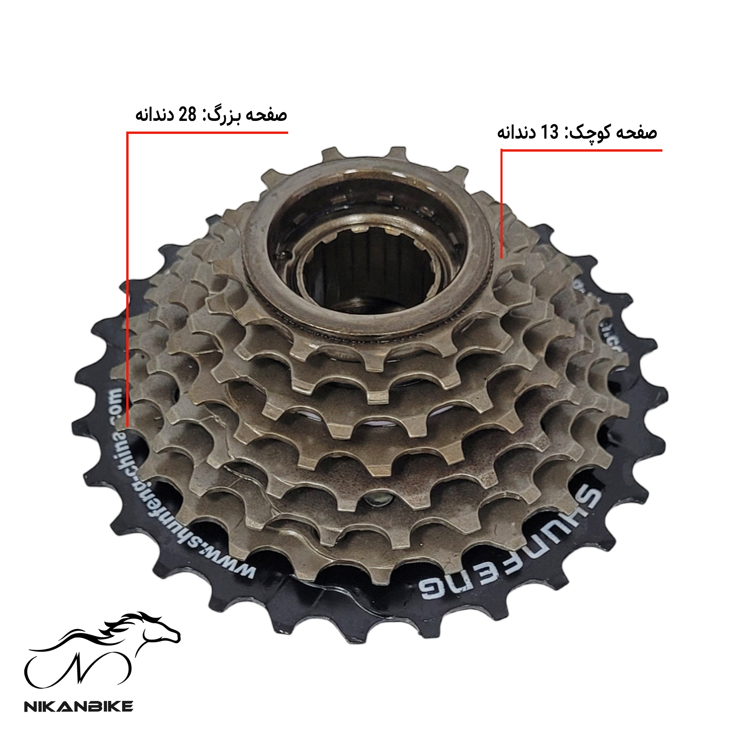 توزیع دقیق دندانه‌ها از 13 تا 28