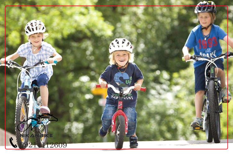 قیمت انواع دوچرخه بچه گانه